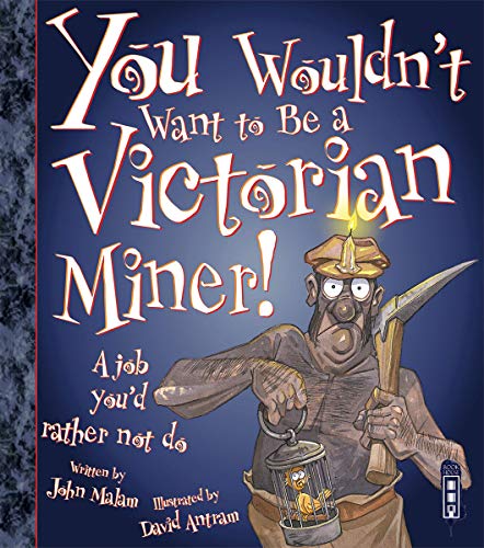 You Wouldn't Want To Be A Victorian Miner! von Book House